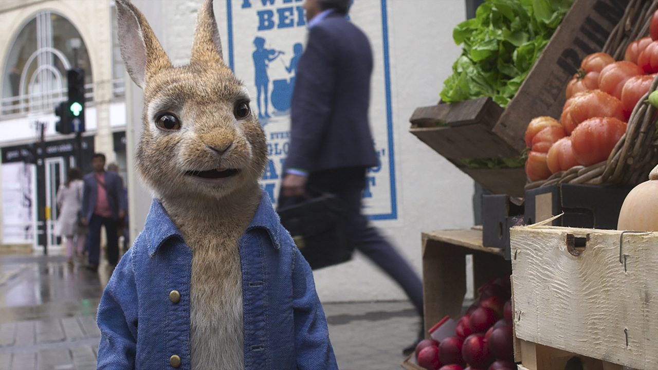 11006693 - Peter Rabbit 2