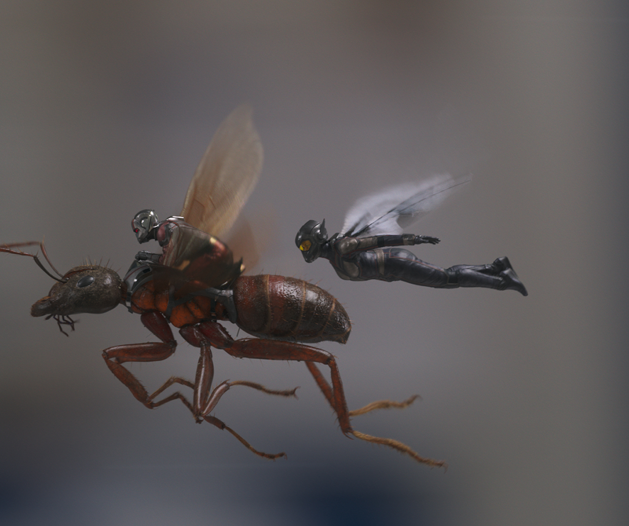 Marvel Studios ANT-MAN AND THE WASP..L to R: Ant-Man/Scott Lang (Paul Rudd) and The Wasp/Hope van Dyne (Evangeline Lilly)..Photo: Film Frame..©Marvel Studios 2018